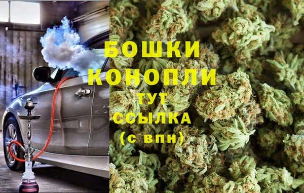 сатива Арсеньев