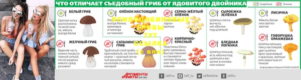 сатива Арсеньев