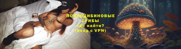 ECSTASY Аркадак