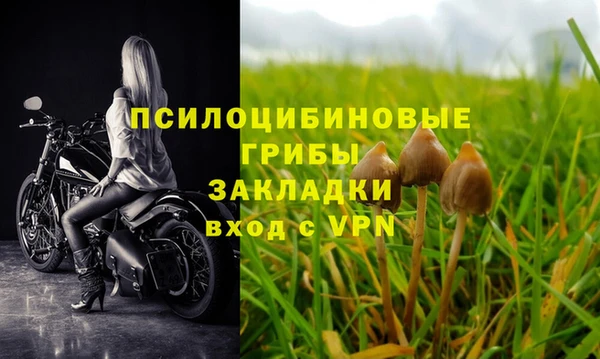 сатива Арсеньев